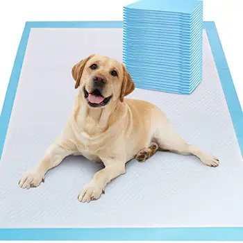 

2020 High quality Disposable Underpads Incontinence Pads Bed Covers for Pet Puppy Training Absorbent Protection