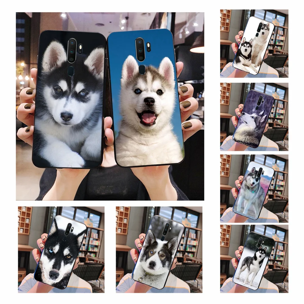 NBDRUICAI Хаски щенок собака DIY Роскошная фотография для Oppo A5 A9 2020 A11x A71 A73S A1K A83