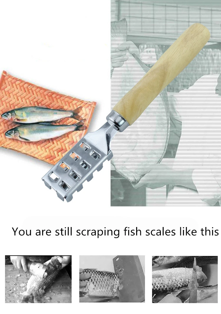 12450703520_1522318124_副本