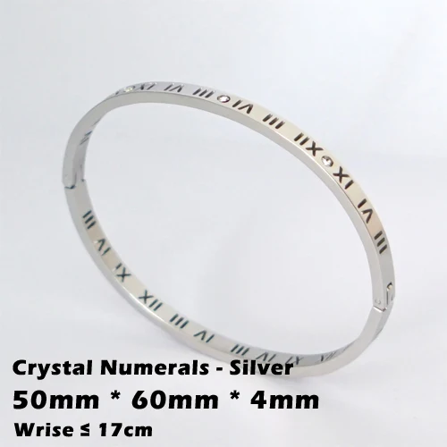 Трендовые Кристальные браслеты для женщин, серебряный, золотой, розовый браслет, титановые браслеты для любви, браслеты из нержавеющей стали, ювелирные изделия - Окраска металла: CN-Silver-4mm