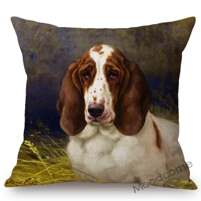 conew_n387 (29) 副本