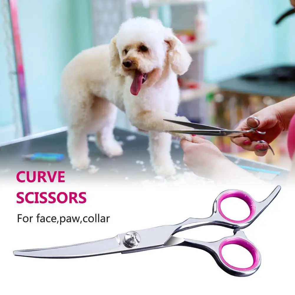 Pet Kopek Sac Kesim Makas Seti Paslanmaz Celik Clippers Duz Dis Kesim Pet Kiti Kopekler Bakim Sac Kesme Makasi Seti Guzellik Araci Dog Scissors Aliexpress