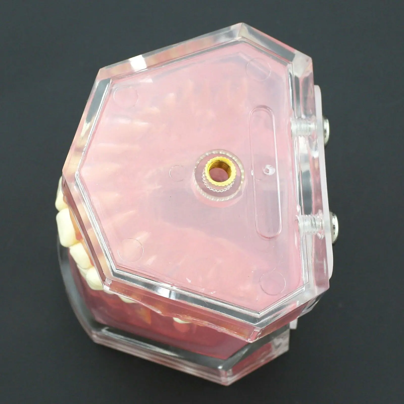 Стоматологическая мягкая резинка стандартная модель с 28 шт. съемные зубы