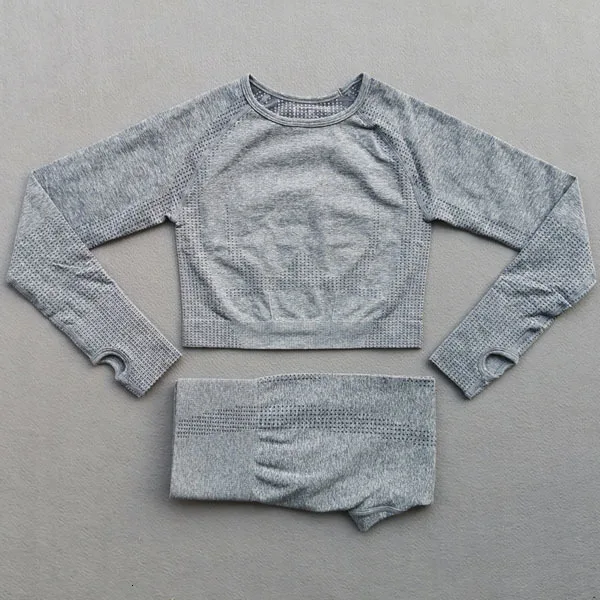 Gray blue 2pcs set Женский бесшовный комплект для йоги, одежда для спортзала, леггинсы для фитнеса+ укороченные рубашки с длинным рукавом, 2 предмета, спортивные костюмы, женская одежда для активного отдыха - Цвет: Gray blue 2pcs set
