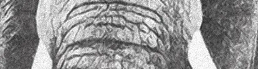 QQ截图20200627160800