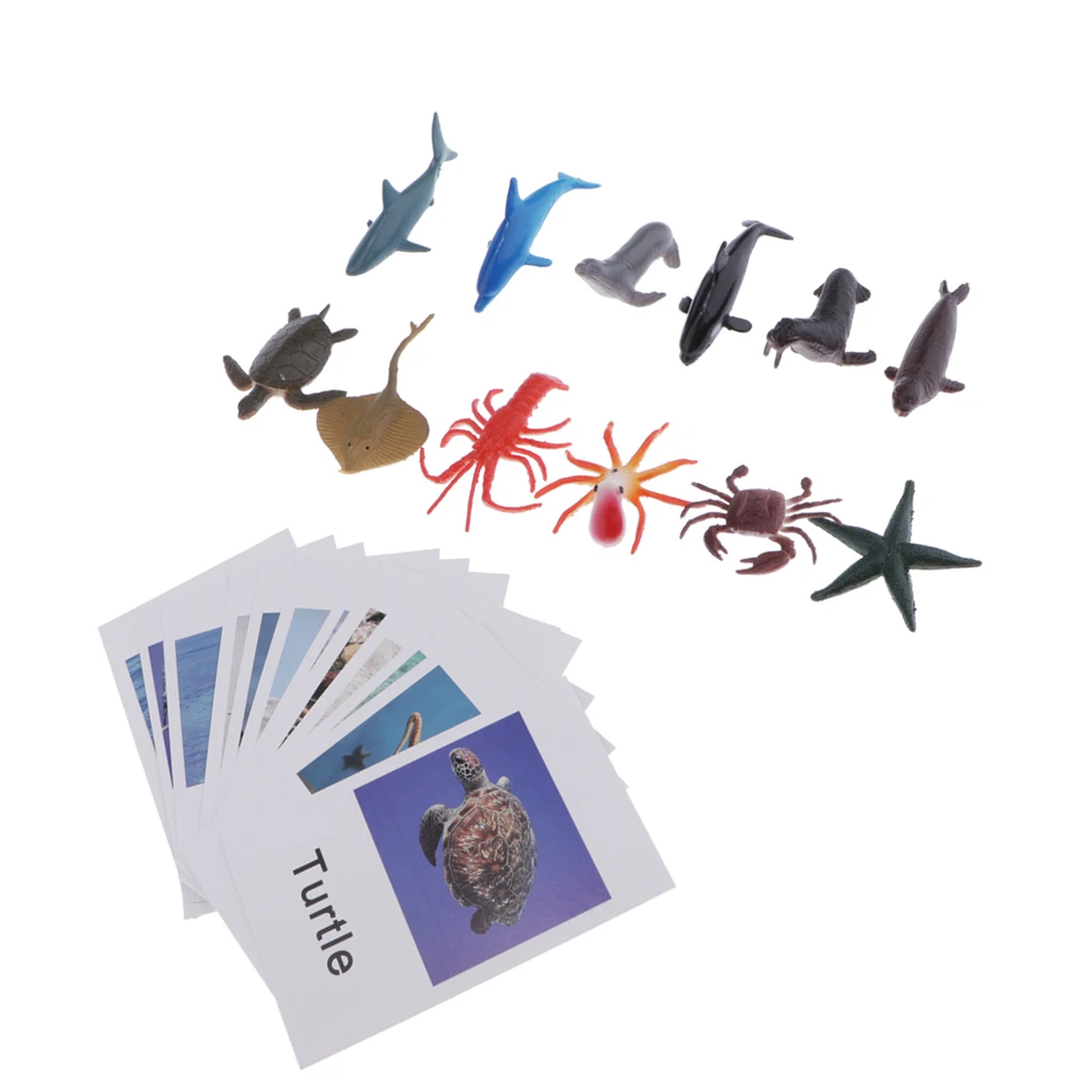 Montessori Animal Match - Miniature Ocean Animal Toy Figurines with Matching Cards - Kids Language Materials Busy Bag Activity