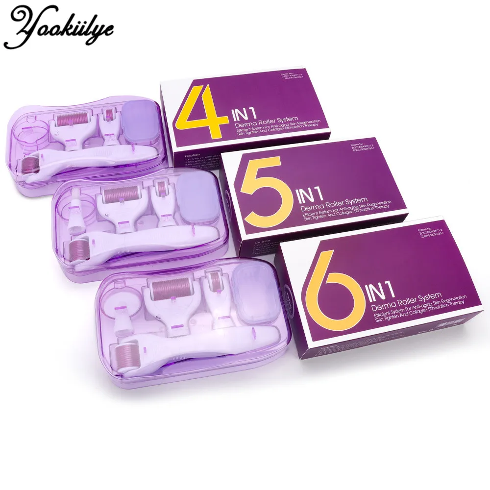4/5/6 In 1 Derma Roller Micro Needle Roller Kit Micro Needles Titanium Microneedle Mezoroller Machine Skin Care BodyTreatment