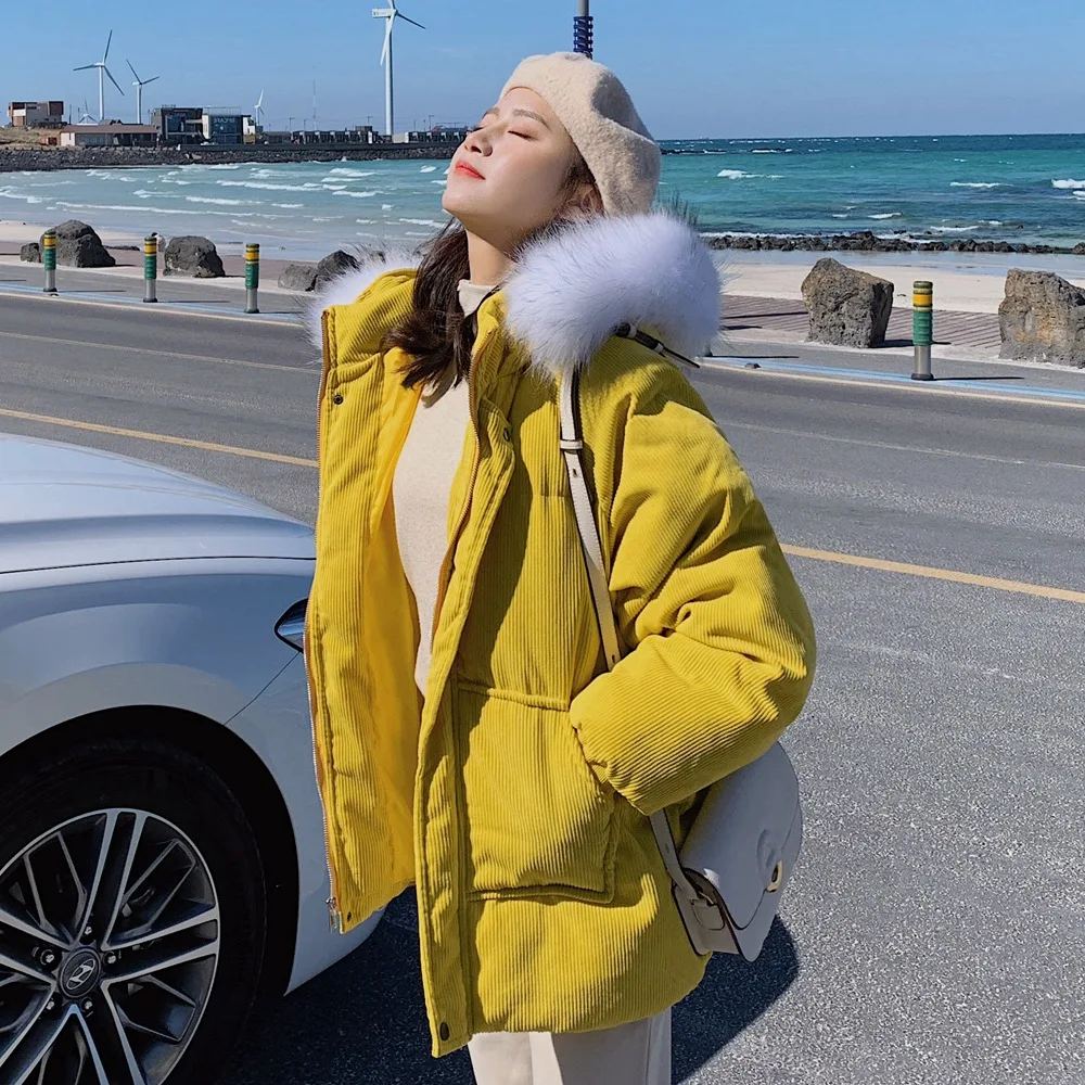 

Photo Shoot 2018 Winter New Style WOMEN'S Dress-Style CHIC-Style Short Corduroy Cotton Coat Hooded Fur Collar Cotton-padded Clot