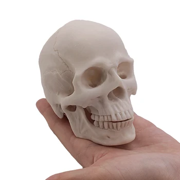 

Skull Halloween Decoration 1:2 ResinSmall Skull Model DIY Handmade Graffiti Model Creative Sculpture Motorcycle Craft