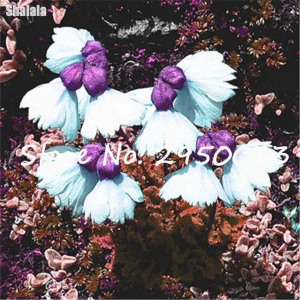 HTB141bNRVXXXXXuapXXq6xXFXXX4