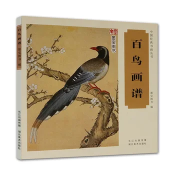 

Chinese Traditional Brush Painting book : drawing Hundred Birds