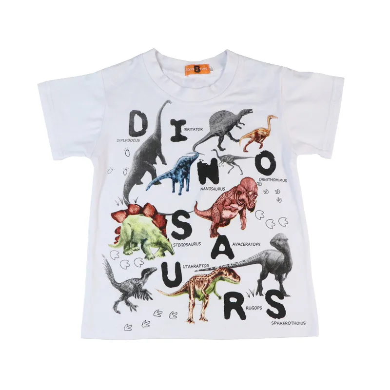 dss