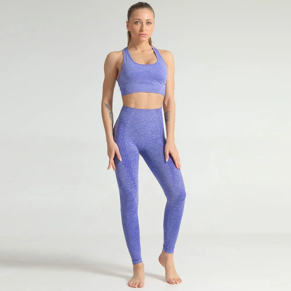 2021 Winter Hot Sale Women Gym Suit Yoga Set Fitness Set Ropa Deportiva Mujer Sports Clothing Yoga Clothing Women Yoga Suit