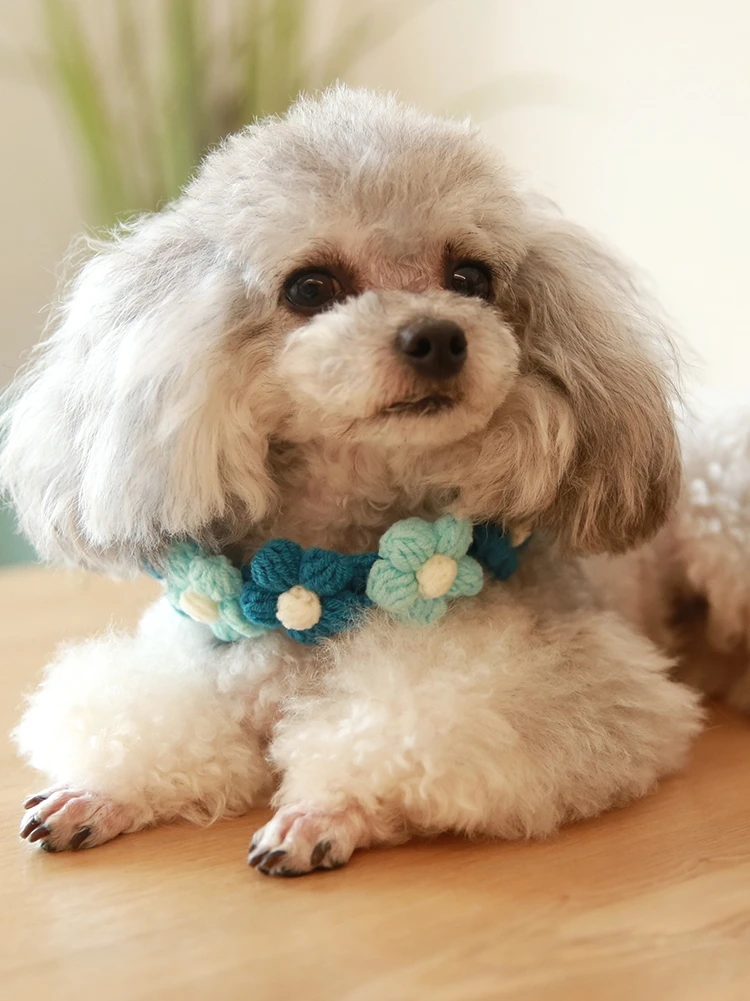 手編みのウールの犬の首輪,小さな花のかぎ針編みの襟,ペットのアクセサリー Aliexpress