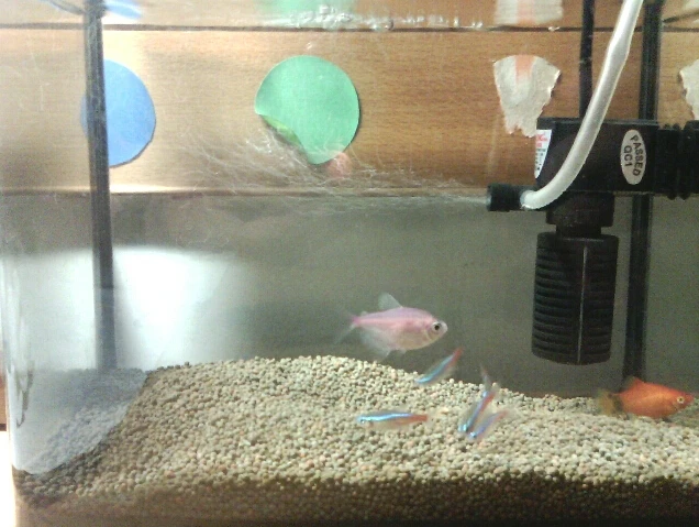 TB2xzsEapXXXXaiXXXXXXXXXXXX_!!391460166