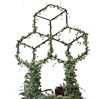 

Lattice-Shaped Plant Trellis for DIY Potted Climbing Plants Support, Flower Vegetables Rose Vine Pea Ivy Cucumbers, Iron Metal