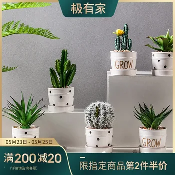 

Creative Artificial Flower Simulated Green Plants Potted Plant Succulent Imitation Flowers Northern European-Style Small Ornamen