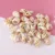1 Коробка Pattern Nature Beach Fashion Shells Sea Shells For DIY Caft Decor Jewelery Craft Accessories Holes Shell Charm Nail Shell