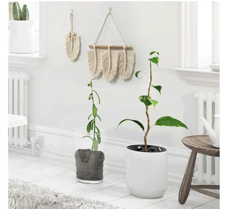 微信图片_20200810235935