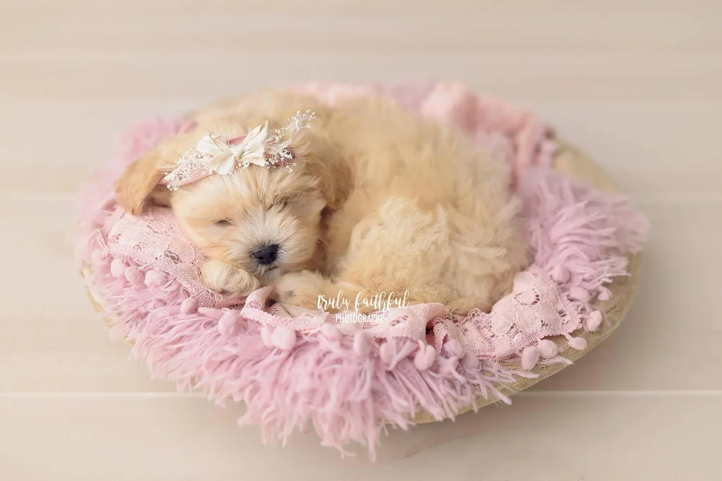 

New Style Photography for Children Decoration Props Newborns Photographic Wrap Infant Tassels Square Silk Scarves guo sha