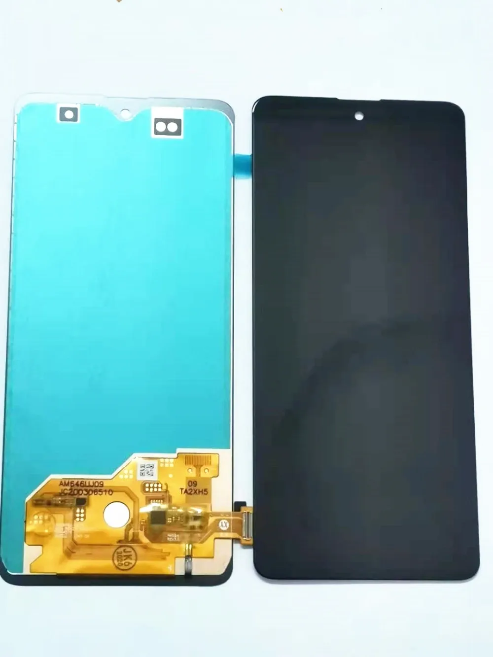 微信图片_20201208144951_副本