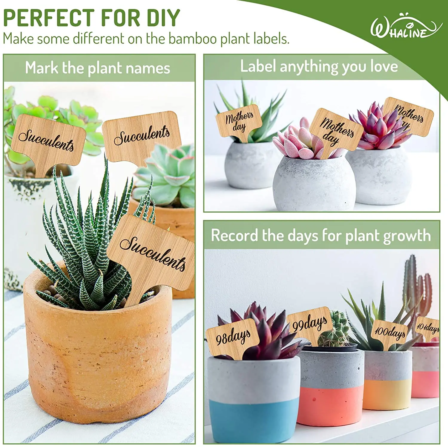 20 PCS Bamboo Plant Label T-Shaped Plant Plug Label Paste Label And Marker Pen For Nursery Cultivation Ornamental Plants Potted