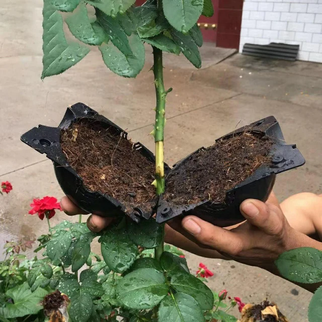 5Db 5 Cm -Es Növény Gyökérgolyó Gömb Oltó Gyökérgyűjtő Doboz Tok Kerti Gyökér Termesztése Gardeen Ültetési Szerszámok - Image 3