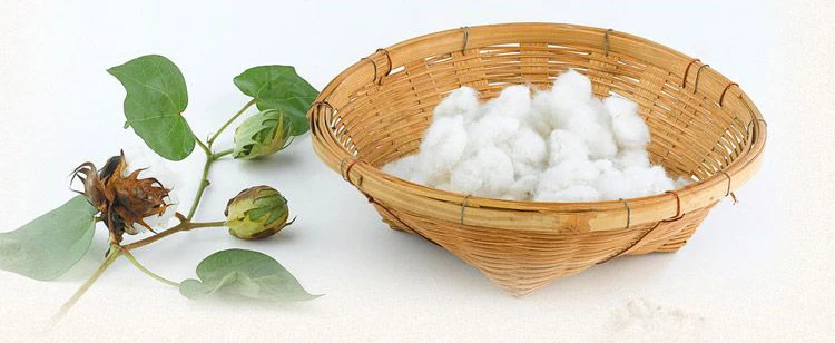 TB2zR1obXXXXXbgXXXXXXXXXXXX_!!36124155