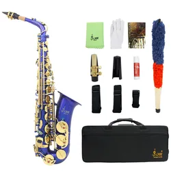 Classic Bule  E-flat Alto Saxophone Vintage Style Eb Copper Sax  with Case Neck Straps Mouthpiece Accessories