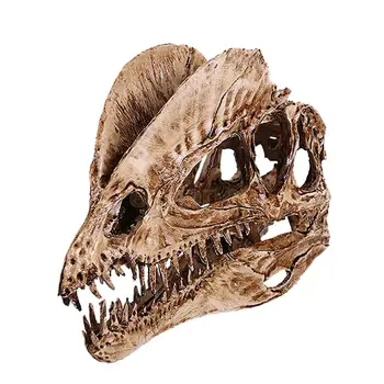 

rs Dinosaur Skeleton Model Decor Dinosaur Skull Simulation Fossil Jurassic Home Resin Garden Decals Decoration