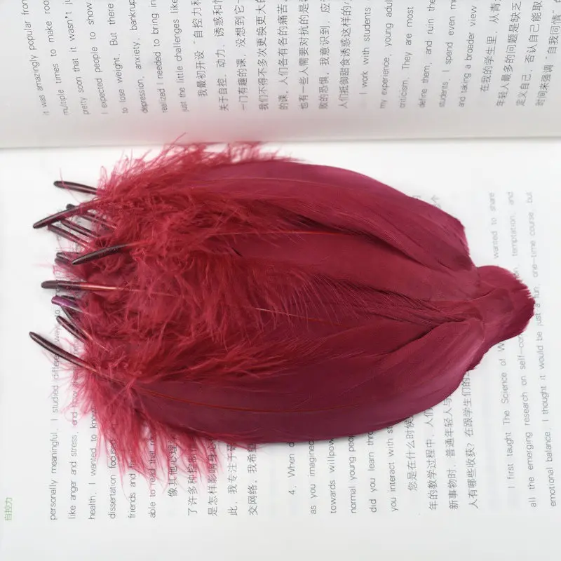 Wine red Высокое качество 24 шт Черный цвет гусиные перья для рукоделия ювелирных изделий 13-18 см Сделай Сам натуральные перья вечерние украшения для дома - Цвет: Wine red