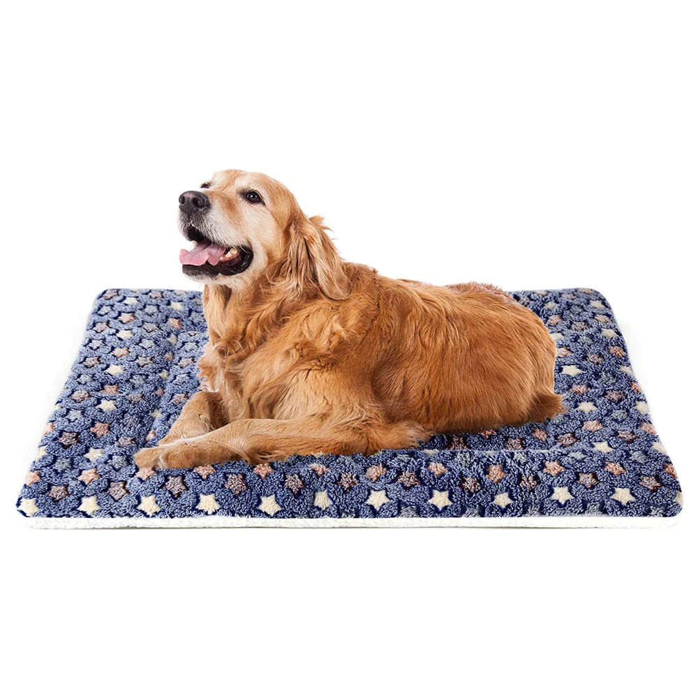 doctor foster dog beds