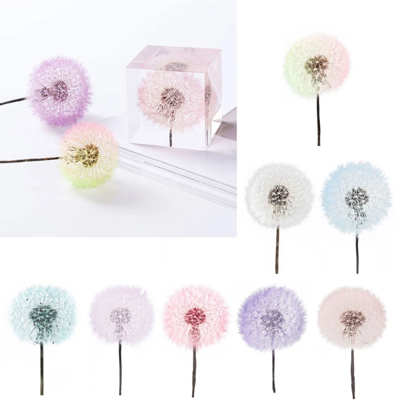 

2Pcs Resin Beauty Decals Epoxy Mold Fillings Crystal Epoxy Filler Dry Flowers Dandelion Dried Flower Pressed Flowers Kit