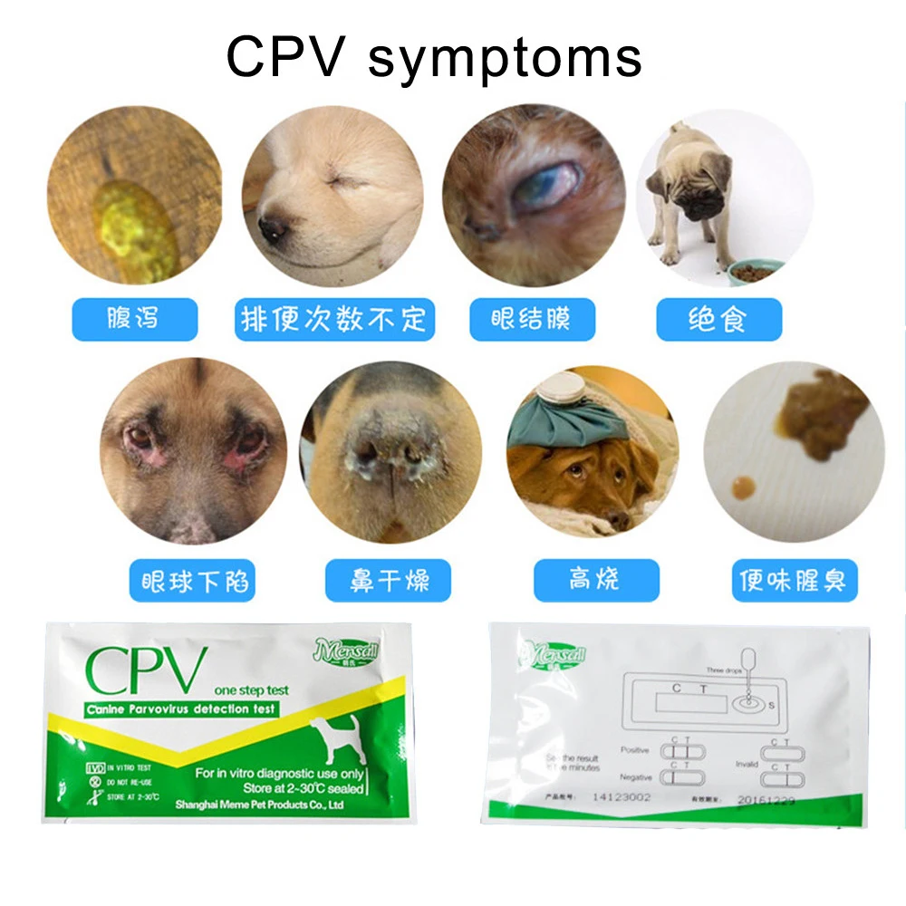 Useful Hot Dog Distemper Virus CDVCPV Home Nasal Swab Health Test Paper One Step Test (4)