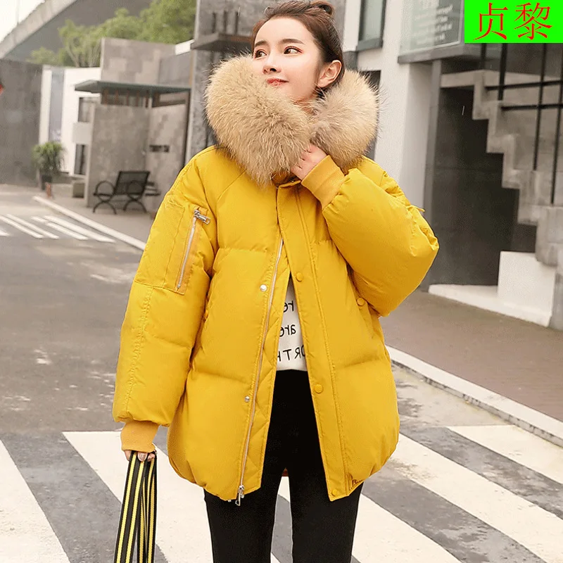 

INS Short down Jacket Cotton-padded Clothes Coat Women's 2018 Winter New Style Puffy Versatile down Coat Cotton-padded Clothes S