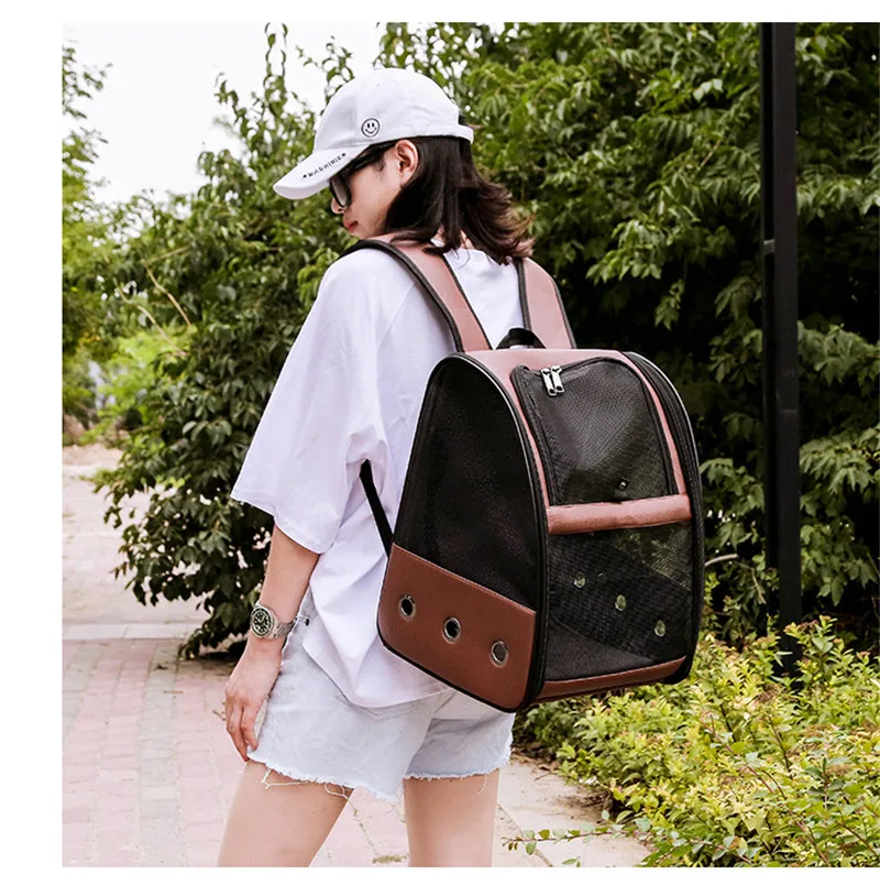 11647376348_299322169