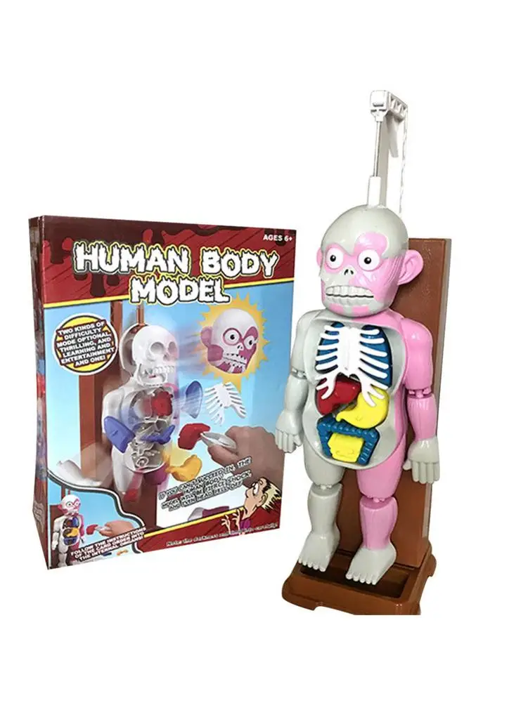  New 4D Assembled Model Human Body Model Teaching Model Puzzle Assembling Toy Desktop Game Model For - 4000376021494