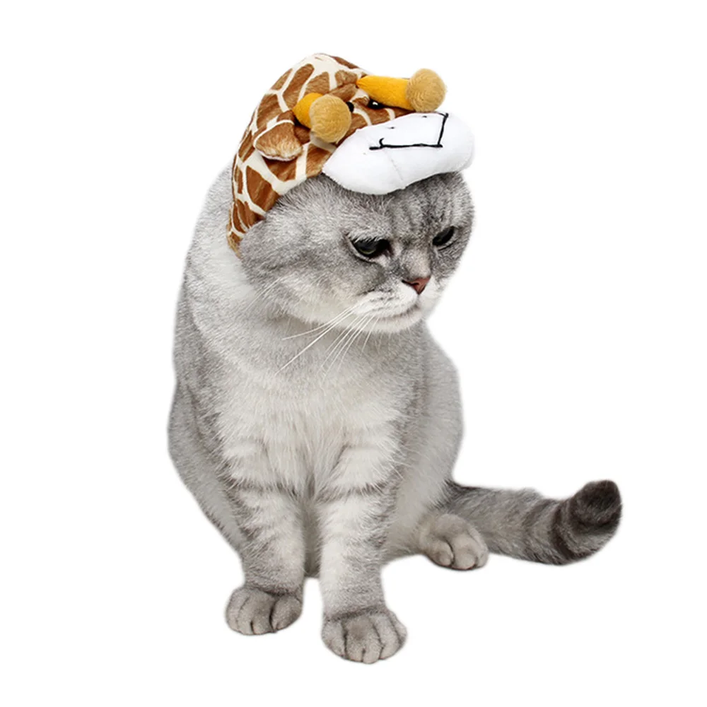 Забавный костюм для кошки собаки слоновая шапочка маленьких собак Щенок Котенок