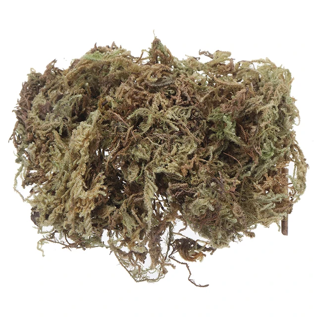 Természetes, Száraz Szerves Anyag Terrárium Sphagnum Moha Orchideák Cserepes Növények Dekorációja Diy Talajmentes Kertészkedés - Image 3