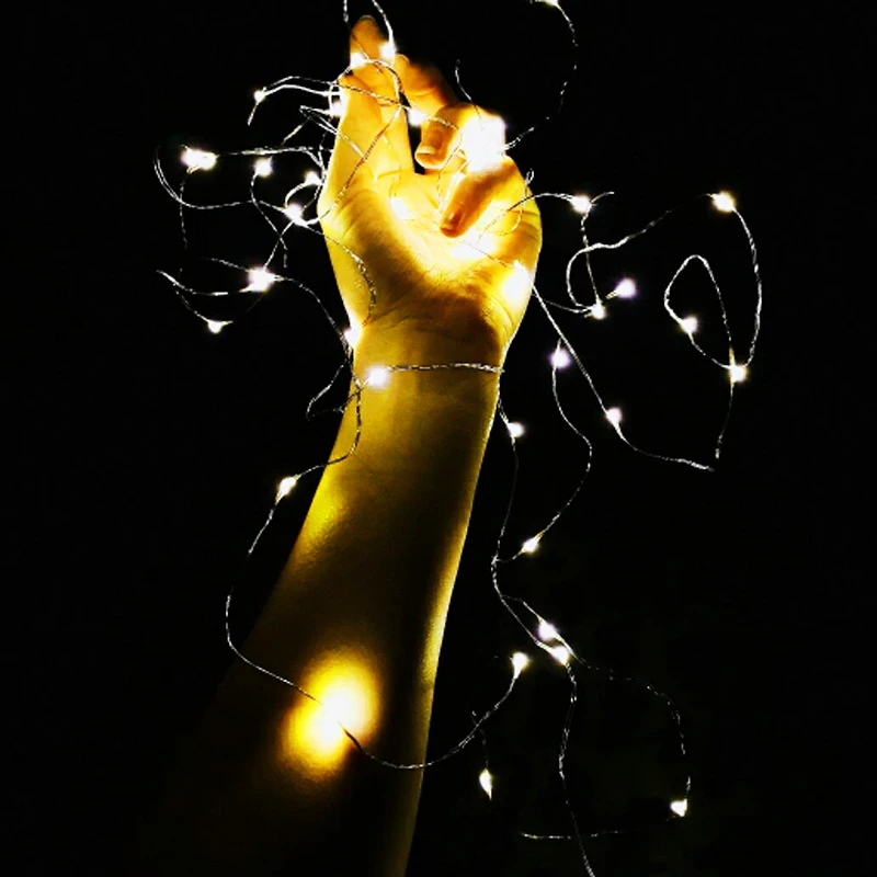 2M 3M 5M Copper Wire LED Silver String Light RGB Waterproof Beads Fairy Holiday Garland Lamp Wedding Party Garden Home Decorate (3)