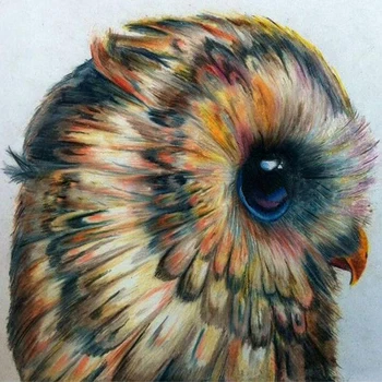 

Full Round Drill 5D DIY Diamond Painting "Animal Owl" 5D Diamond Embroidery Cross Stitch Home Decor