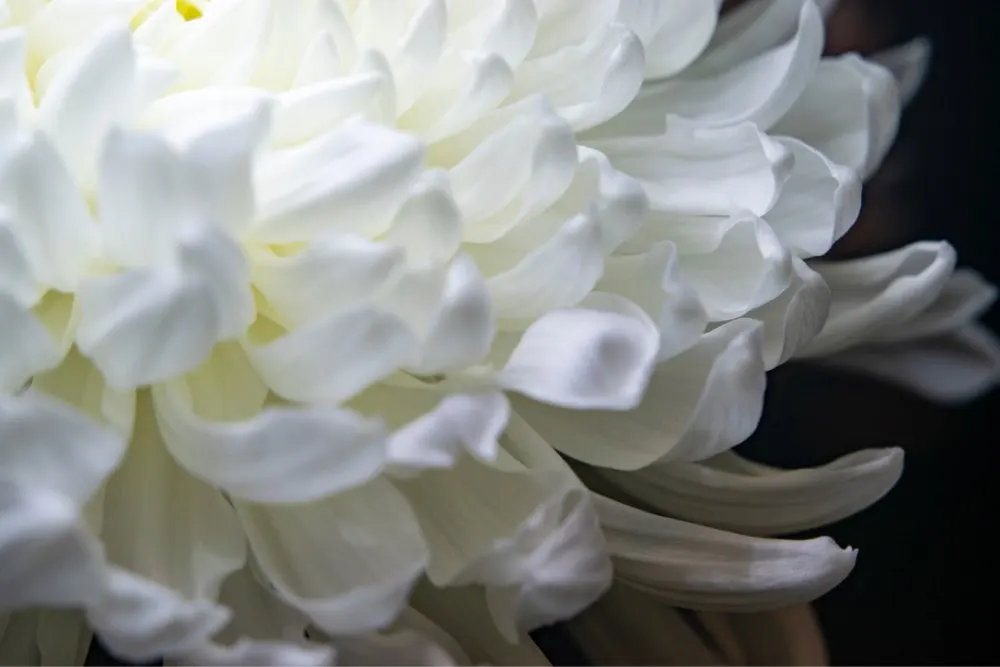 cc91d74e396e1940a85cdf5acd4616c3_U7c1c1f1bc56646d387a7d730ac1e946a8