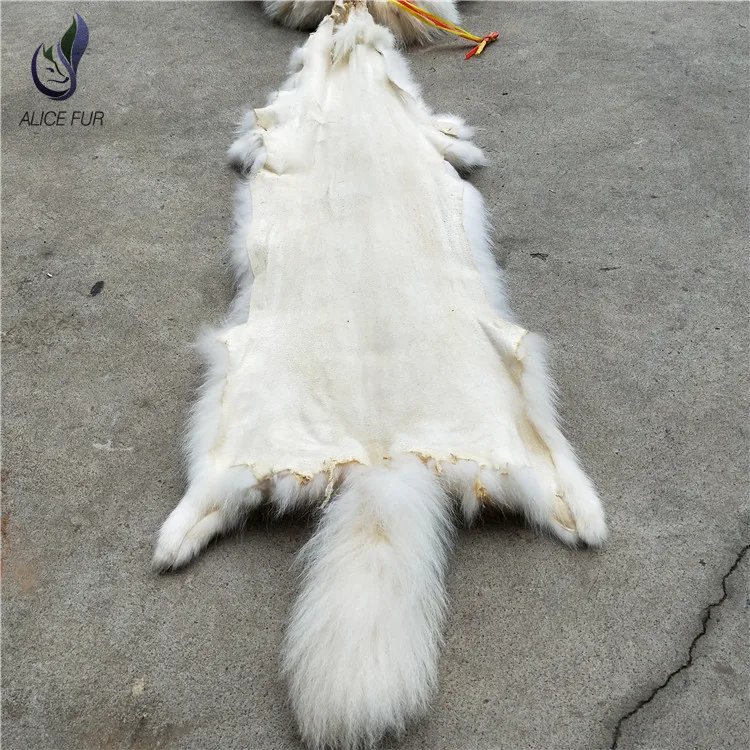 Raccoon skin23