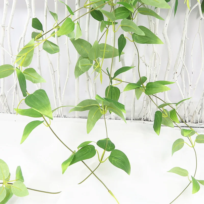 O1CN01Xu1NY71fxw3h8Jna2_!!3538854074