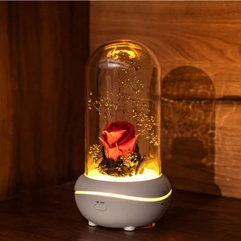 

2020 new rose colorful atmosphere lamp USB aromatherapy machine home gift girl gift holiday gift wedding decoration