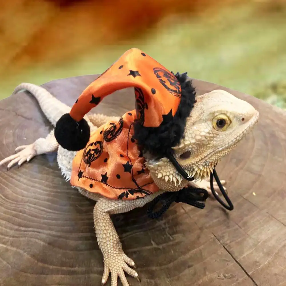 1 Set Cute Lizard Hats Decorative Polyester Small Animal Headwear Caps