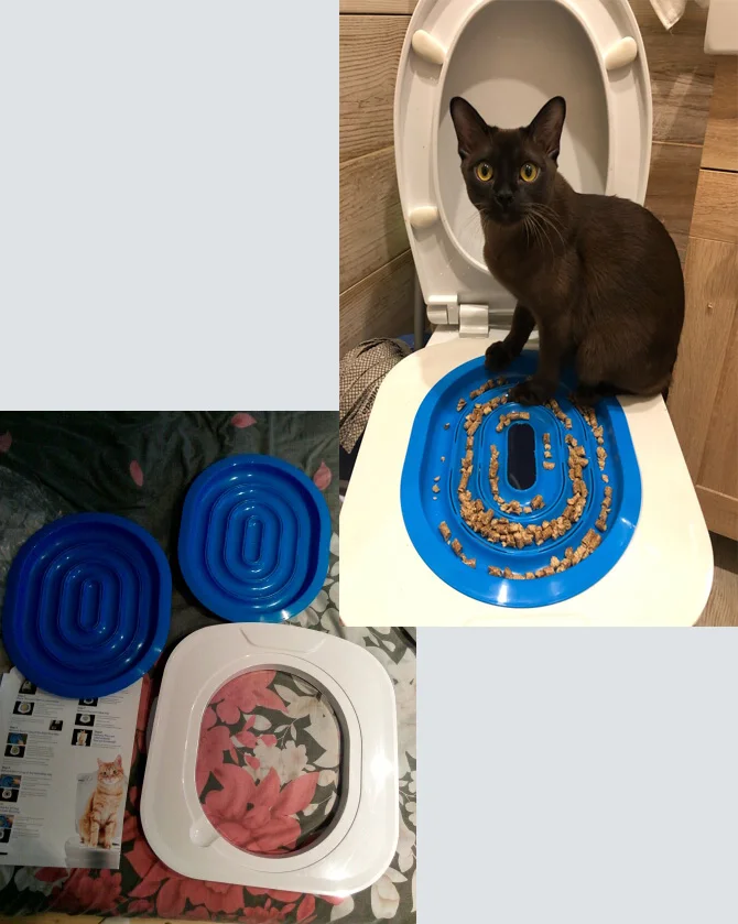 

A Litter Box for Cats Plastic Cat Toilet Trainer Cat Toilet Training Kit Litter Tray Mat Pet Cleaning Supply Training Products