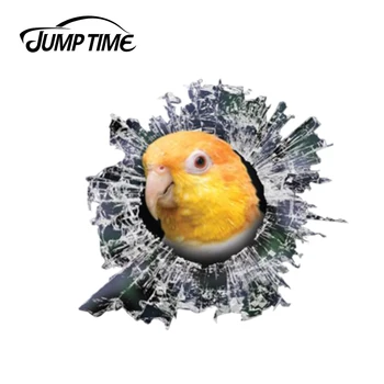

Jump Time 13cm x 12.2cm 3D rusty Caique window sticker Glass Slag Decal Reflective Stickers Waterproof Bird Decals
