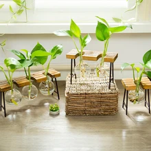 1 шт. креативные художественные цветы деревянное украшение для стеклянной вазы держатель для растений современные скандинавские стили Настольная Ваза украшения для дома и сада