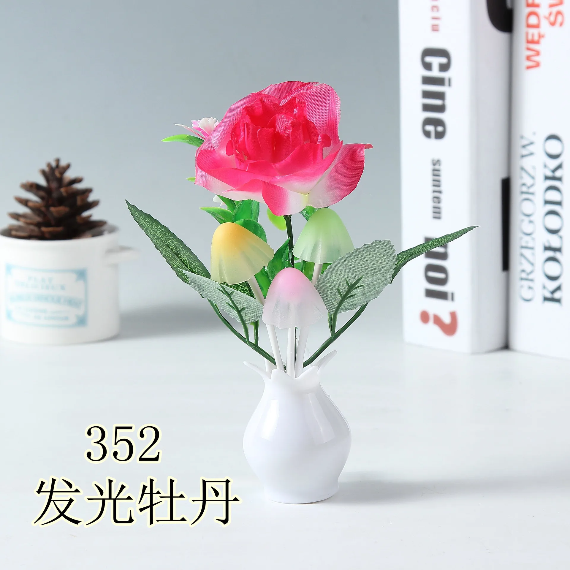 IMG_8909_副本